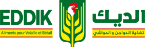 EDDIK-LOGO-300x97-1