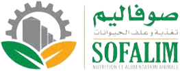 Sofalim-removebg-preview-4
